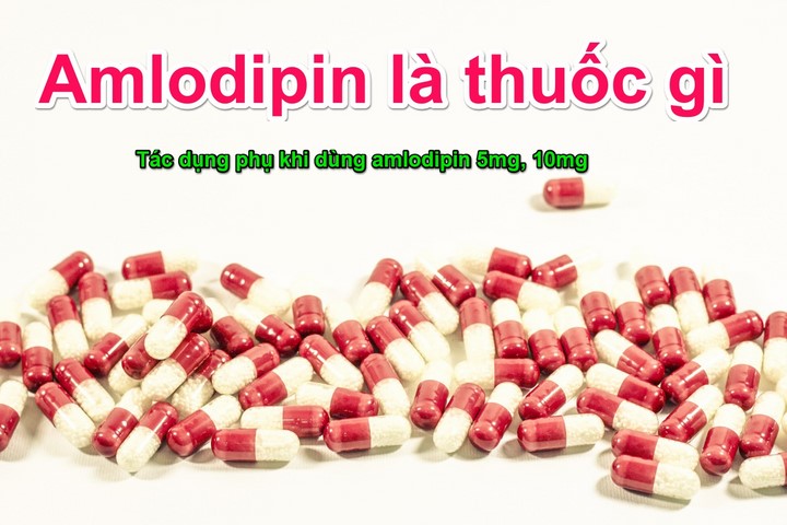 Ampolipin là gì Ampolipin là gì