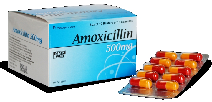 Liều dùng thuốc Amoxicllin Liều dùng thuốc Amoxicllin cho người lớn và trẻ nhỏ
