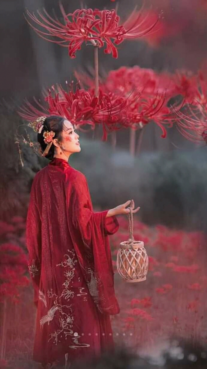 Truyền thuyết hoa Bỉ Ngạn Truyền thuyết hoa Bỉ Ngạn
