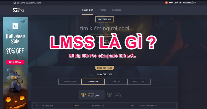 LMSS là gì LMSS là gì