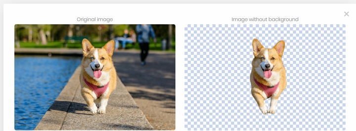 Tách nền ảnh chó corgi với Remove.bg Tách nền ảnh chó corgi với Remove.bg