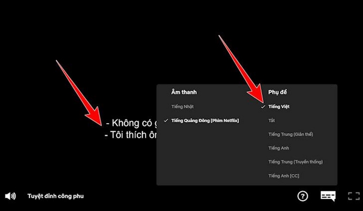 Bật phụ đề Netflix thụ động