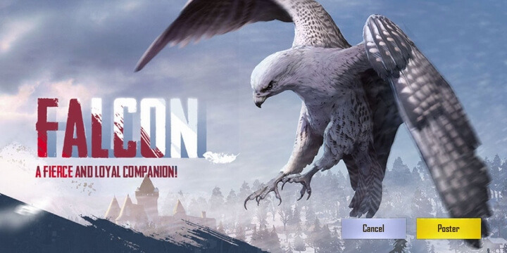 Falcon (Sắp ra mắt) bạn đồng hành